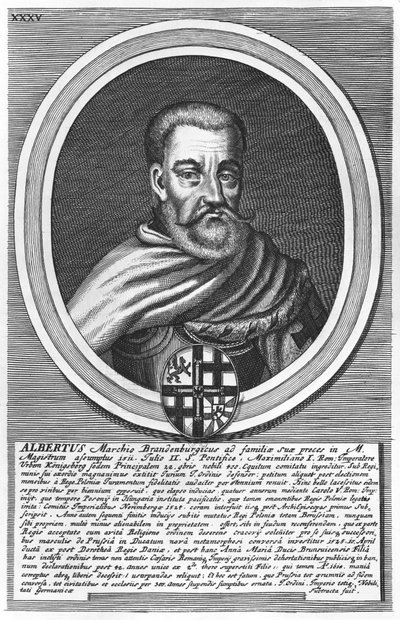 Albert of Brandenburg by German School